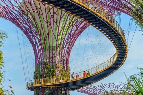 Gardens by the Bay Singapore Supertrees